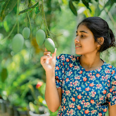 Traditional Taste Story Avatar