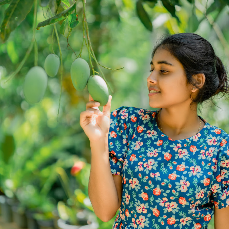 Traditional Taste Story