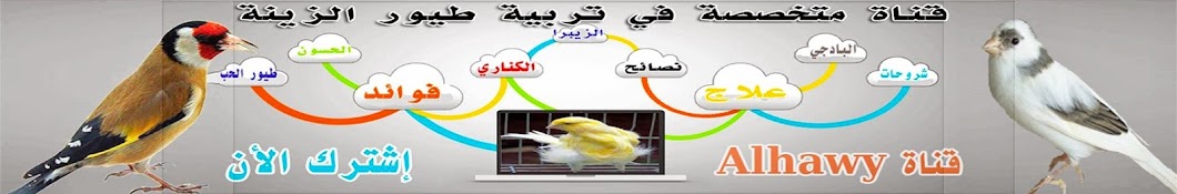 alhawy رمز قناة اليوتيوب