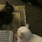 @AmalAhmed-y4v