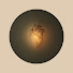 xISwBGetrKw-channel-avatar-Avoidant Healing and Revolutionary Motivation 