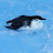 @The_1Birb