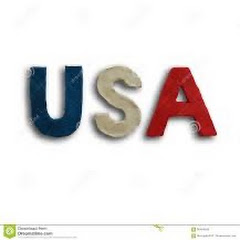 Auditing The USA Avatar