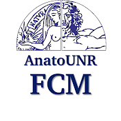 Anatomía Normal - FCM - UNR