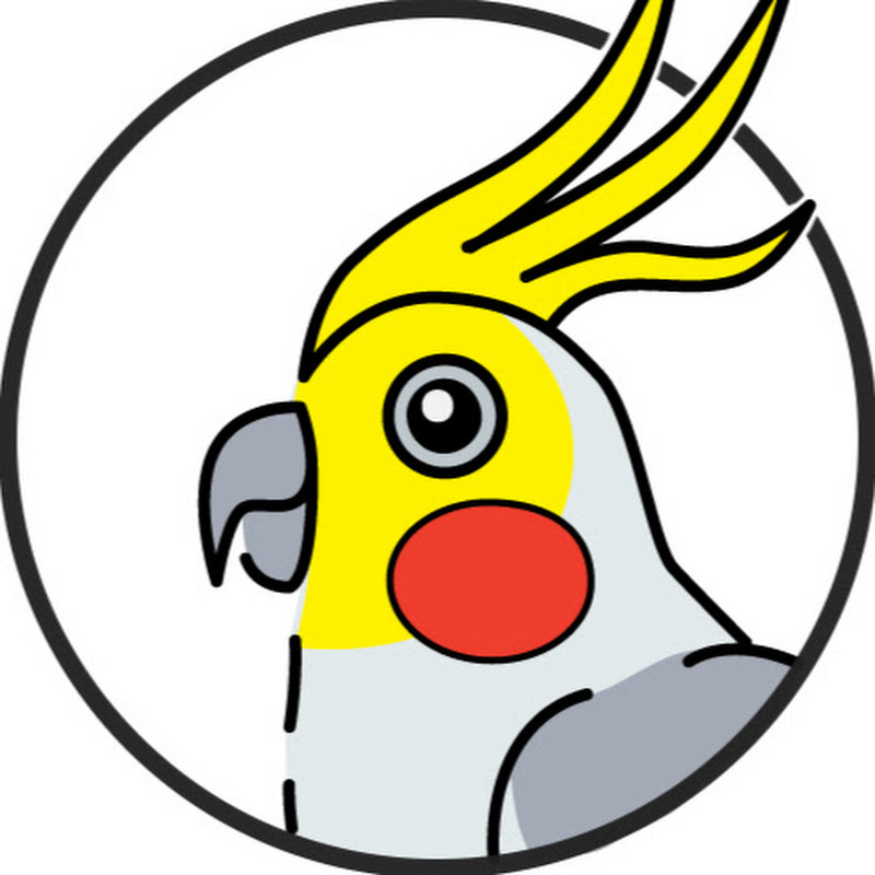 Хороший программист