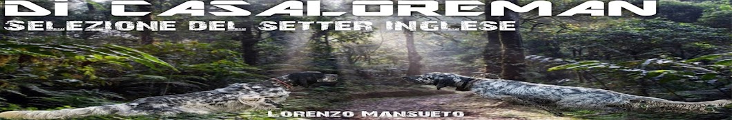 Lorenzo Mansueto Avatar channel YouTube 