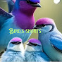 Birds shorts logo