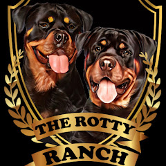 The Rotty Channel net worth