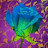 @rose-gd