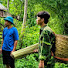 kQTvH9pF6h0-channel-avatar-Chúc Phương Bình 