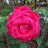 @totpoctorHelios2