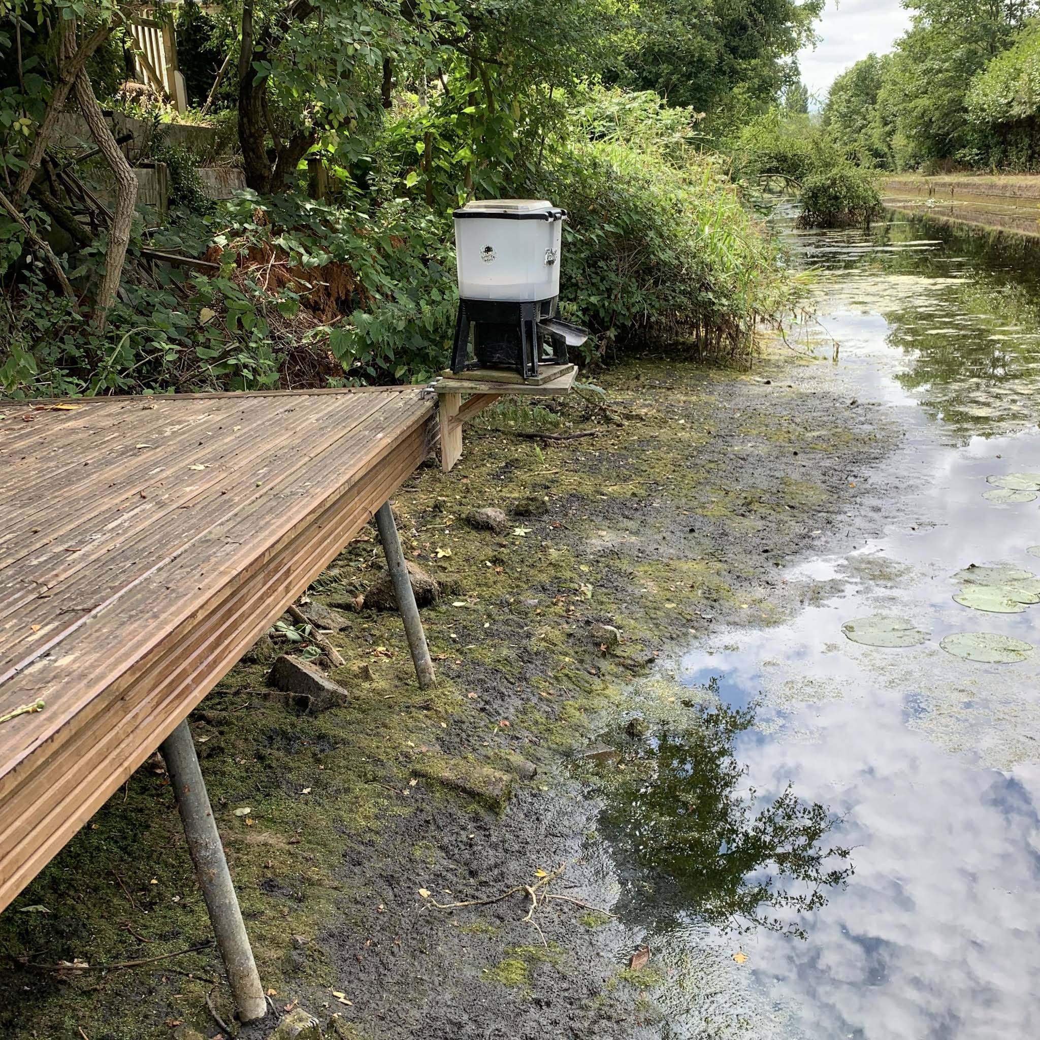 Post from Snagged Bro