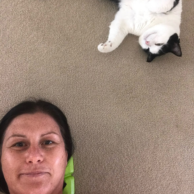 Bob Cat and Me