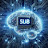 avatar of @sulybrainerz