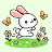 Sweet bunny