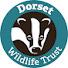 w-YzwKVh2tE-channel-avatar-Dorset Wildlife Trust