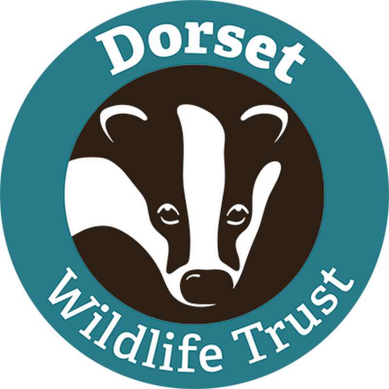 Dorset Wildlife Trust logo