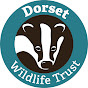 Dorset Wildlife Trust logo