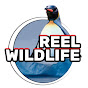 Reel Wildlife logo