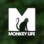 Monkey Life logo