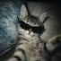 mAawvsIBkTc-channel-avatar-meoww