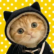 ドジ猫のチョロ