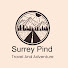 AfjHFg4CHUo-channel-avatar-Surrey Pind