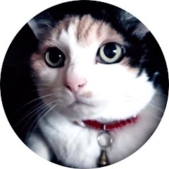 studio三条　遊蕩民