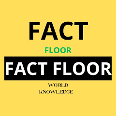 Fact Floor