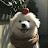 @코코말차