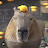 @Capybara.com382