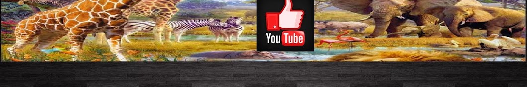 Roberta Winovski यूट्यूब चैनल अवतार