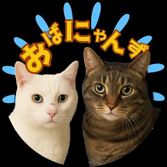 おばにゃんずアイコン画像