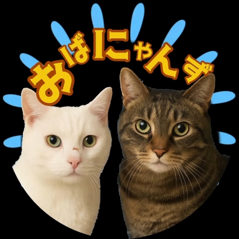 おばにゃんず