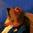 hzj0YoYNrfQ-channel-avatar-The Hound's Lounge