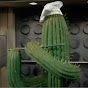 Cactus Chef Avatar