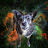 @recommendacious8026's avatar