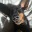@lotus8535 Avatar