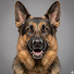 SUJBj0FLndI-channel-avatar- Illustrated Dog Breeds