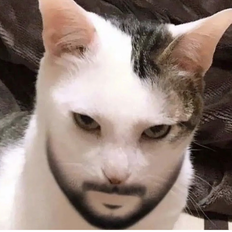 Le Dew