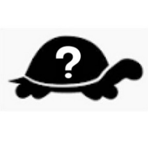 Anonymous Turtle