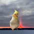 Zn6JCn8EUYY-channel-avatar-Driven by Chirps