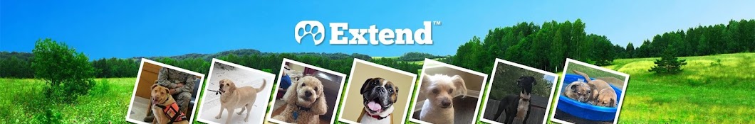 Extend Pets YouTube channel avatar