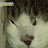 @hadi8143