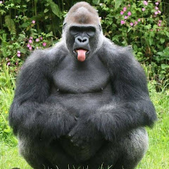 Big foot 