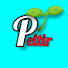 mr6kcaUcQ74-channel-avatar-peltir
