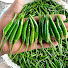 dGSgjPzBZgY-channel-avatar-K and M Farms
