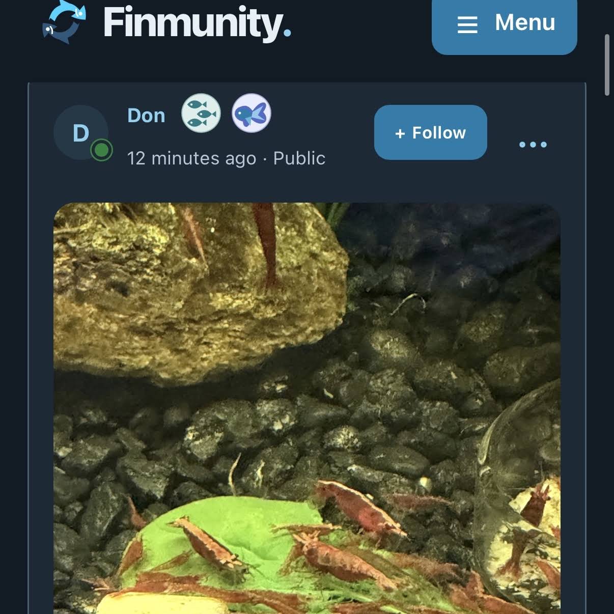 Community post