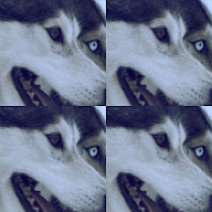 thumbnail img1x1