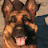 @Dogmeat225